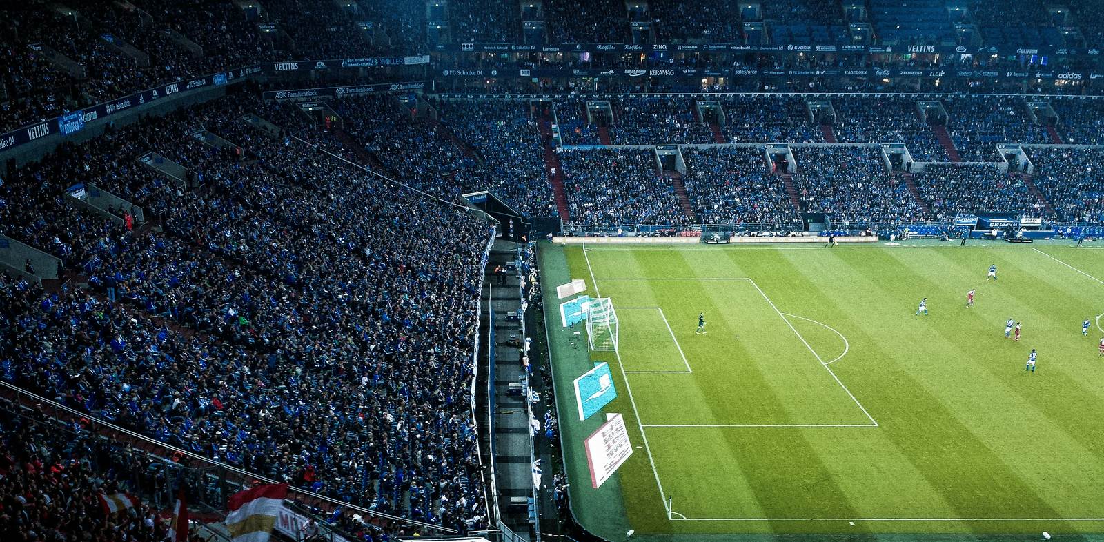 资讯与专题